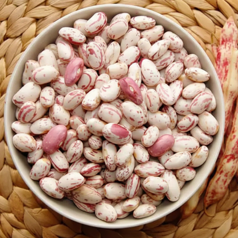 fasolia6